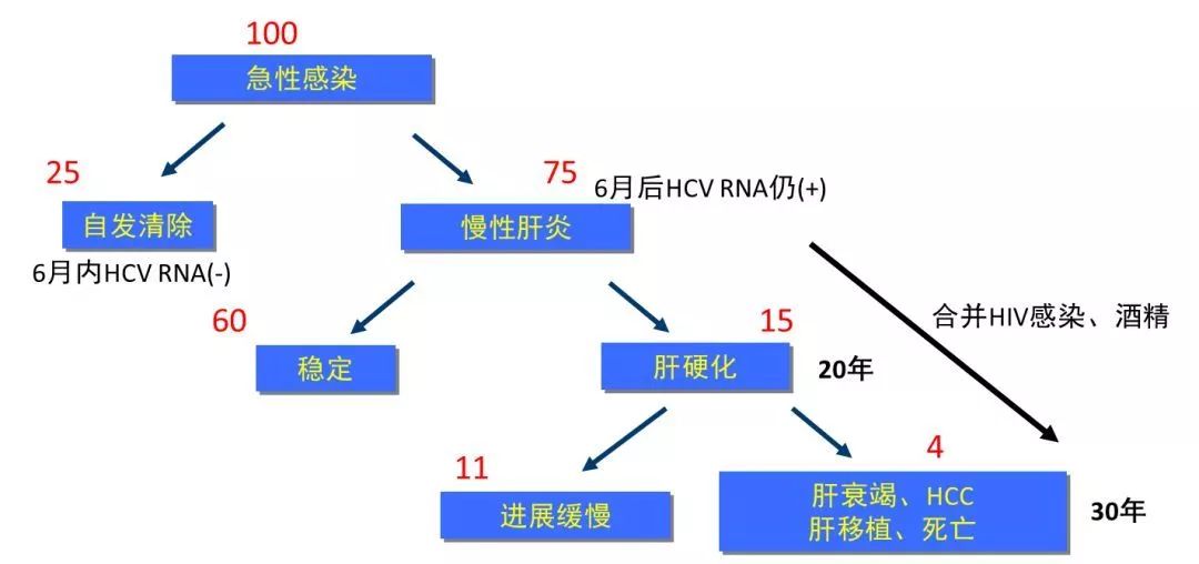 丙肝檢測的弱陽性究竟是不是感染了丙肝？
